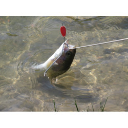 Slama Releaser Slama Releaser