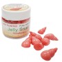 Jelly Snail Jelly Snail