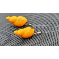 Jelly Snail Jelly Snail