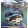 Big Fish Pro Line 300mt.