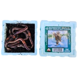 Kanadský červ cesnakový 12ks. Kanadský červ cesnakový 12ks.