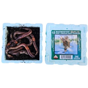Kanadský červ cesnakový 12ks.