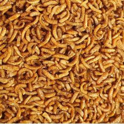 Sušené pinky v melase 250gr. Sušené pinky v melase 250gr.