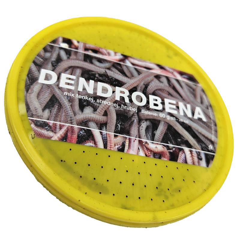 Dendrobena MIX