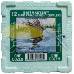 Kanadský červ 12ks. Kanadský červ 12ks.