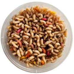 Kostný červ - mix v kelímku Kostný červ - mix v kelímku