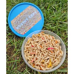 Kostný červ - mix v kelímku Kostný červ - mix v kelímku