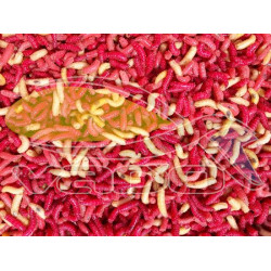 Kostný červ - farba mix Kostný červ - farba mix