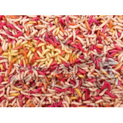 Kostný červ - mix Kostný červ - mix