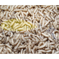 Kostný červ - natur Kostný červ - natur