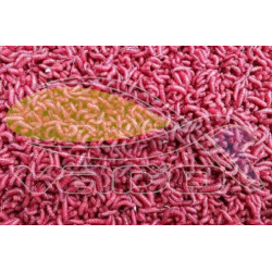 Kostný červ - rubi Kostný červ - rubi