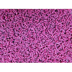 Pinky rubi Pinky rubi